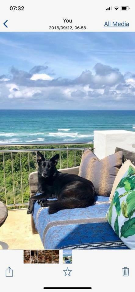 Nakai Beach Homestay Trafalgar Экстерьер фото